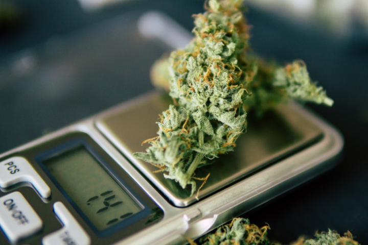 Euro Weed Clinic – The Best Place to Buy Weed Strains Europe Online