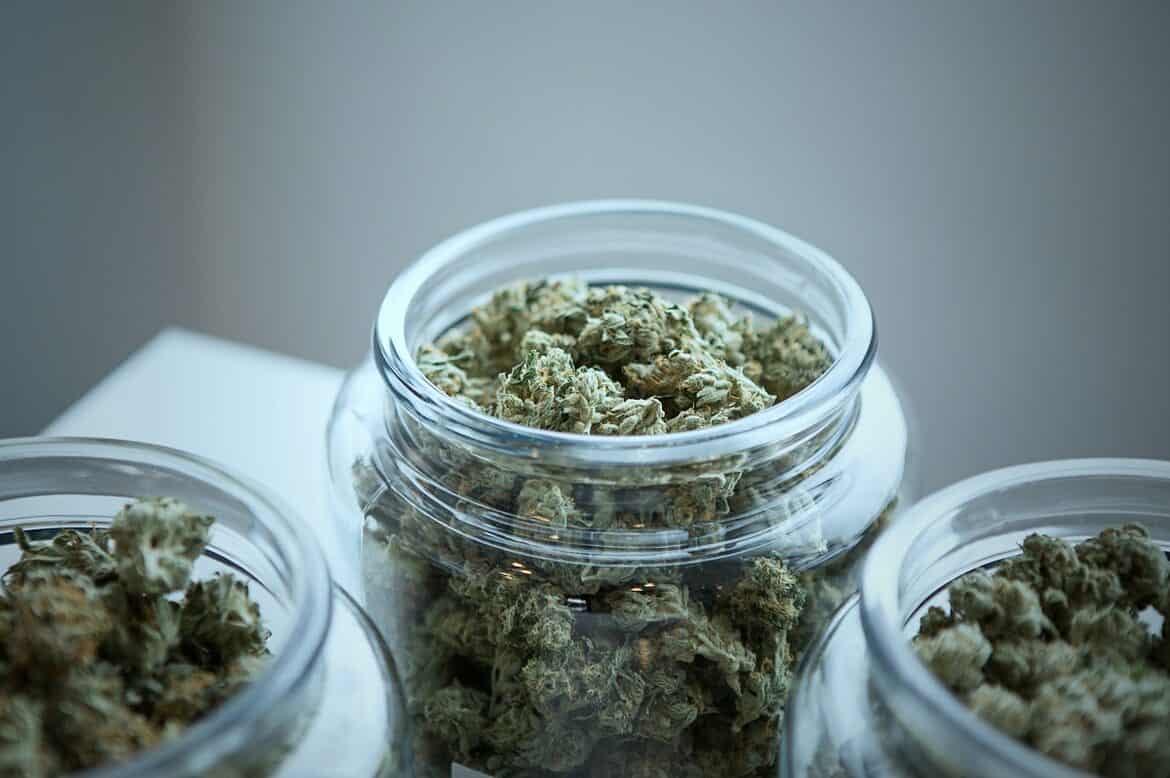 CBD Kush Auto: Elevating Client Services at Green Leaf Store EU